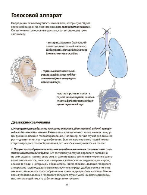 Голос. Анатомия