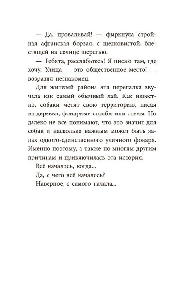 Банда бродяг: лапа лапу моет