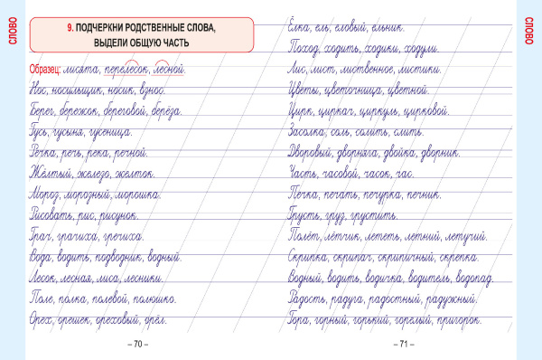 Русский язык. Развивающий тренажёр. 2 класс