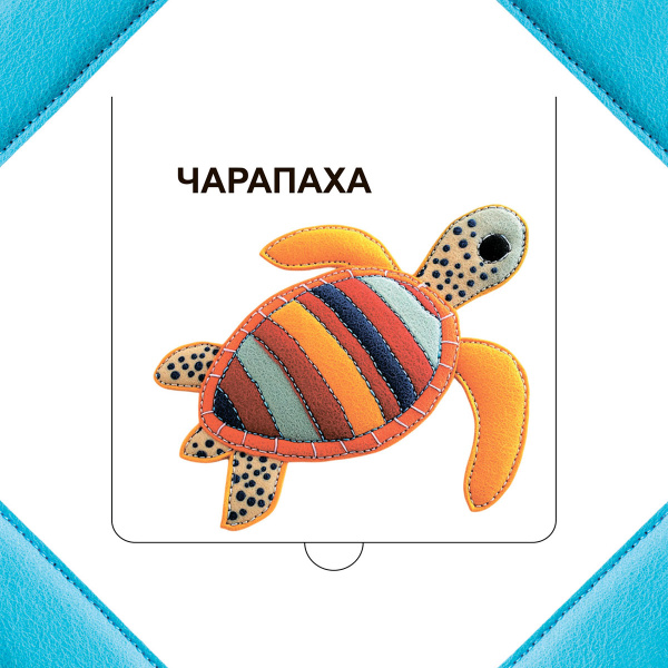 Хто хаваецца ў моры?