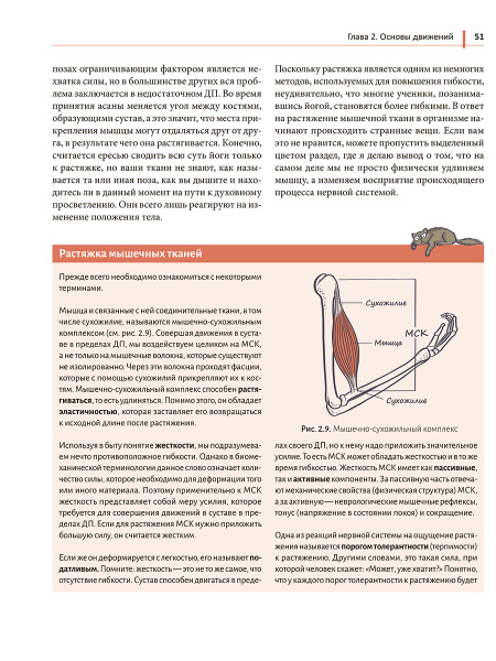 Анатомия йоги простыми словами: Иллюстрированное пособие по упражнениям и асанам