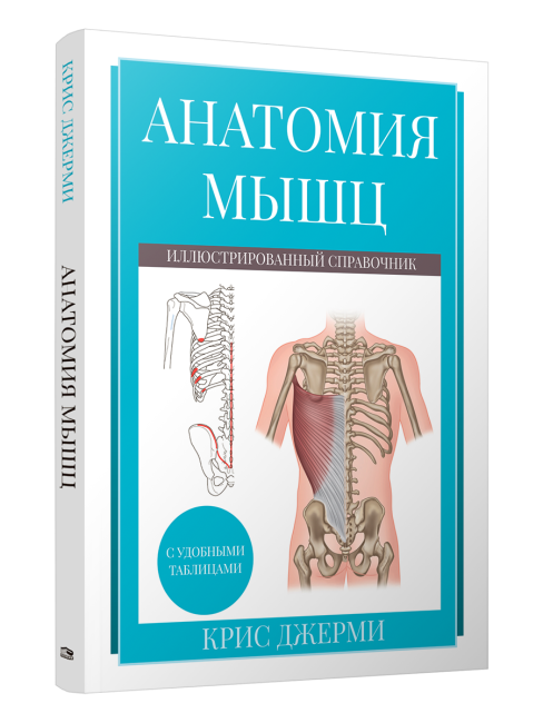 Анатомия мышц: иллюстрированный справочник