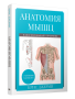 Анатомия мышц: иллюстрированный справочник